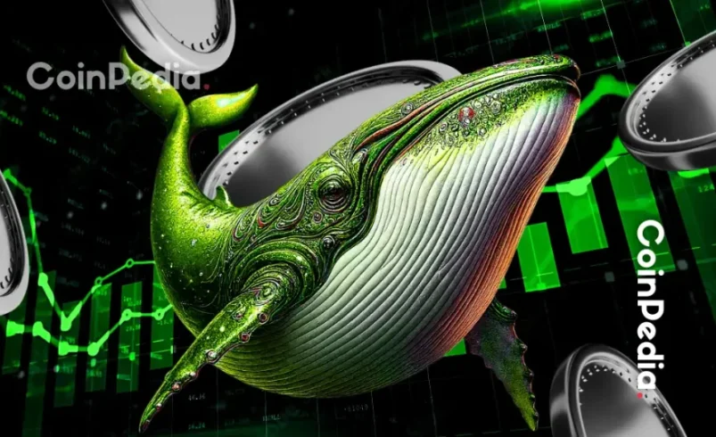 Today’s Top Crypto Gainers: PIPPIN and HYPE Lead as Volume and Structure Align