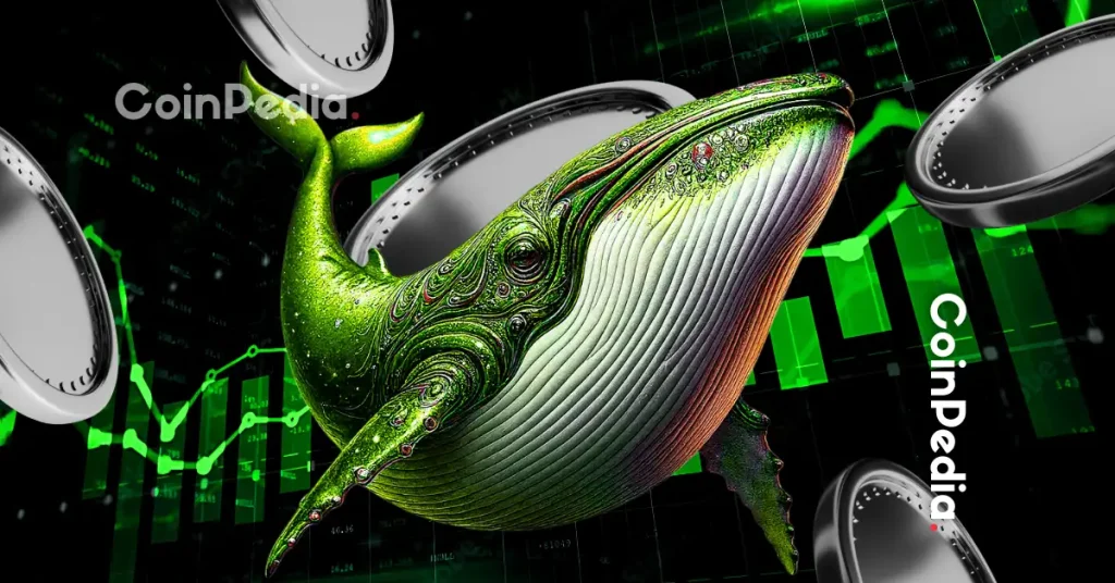 Today’s Top Crypto Gainers: PIPPIN and HYPE Lead as Volume and Structure Align