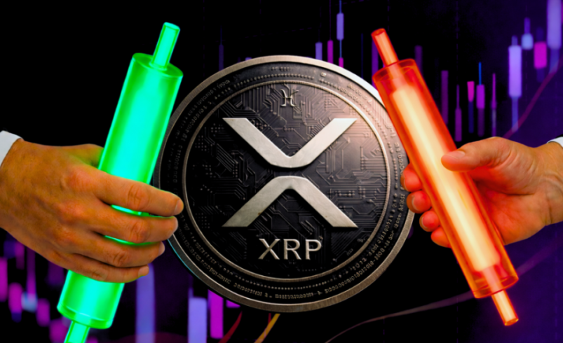 XRP Price News: What 25,000 New Wallets Mean for the $2 Level
