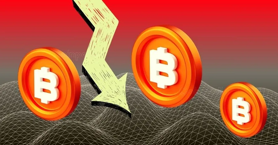BTC Price Enters a Reset Phase After $74,500 Crash Shakes Market Structure