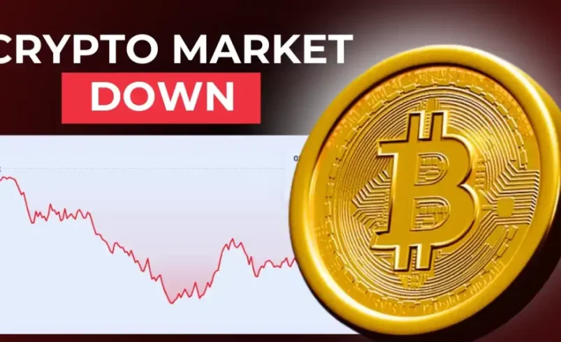 Why Is Crypto Crashing?