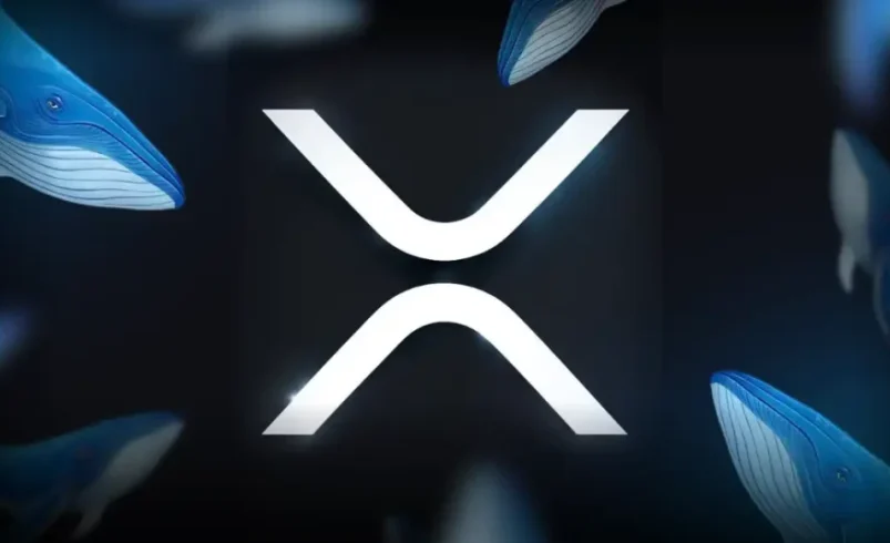 Grayscale’s Top Analyst Just Said XRP Is Mispriced: Here’s What Changes That