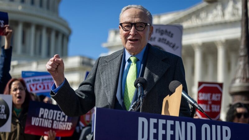 Schumer, Democrats say they support voter ID, then block GOP amendment to require it