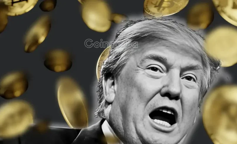Trump Crypto Empire Earns $2.3 Billion While Investors Face Heavy Losses